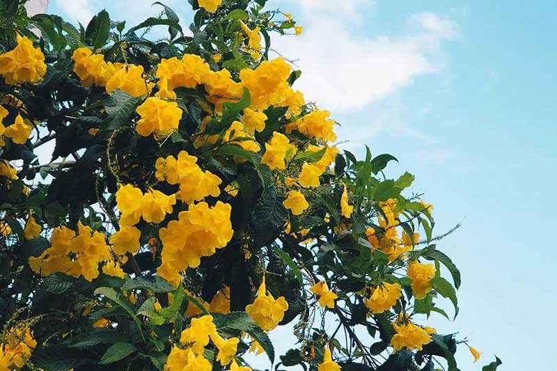 Yamishibai: Preparativos para a 16ª Temporada com o Tema ‘Laços’